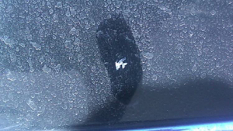 thumbnail Benarkah Kertas Koran Bisa Hilangkan Jamur Kaca?